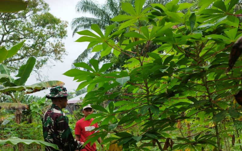 Babinsa Batu Teritip Ajak Warga Bersama Jaga Lingkungan dari Ancaman Karhutla