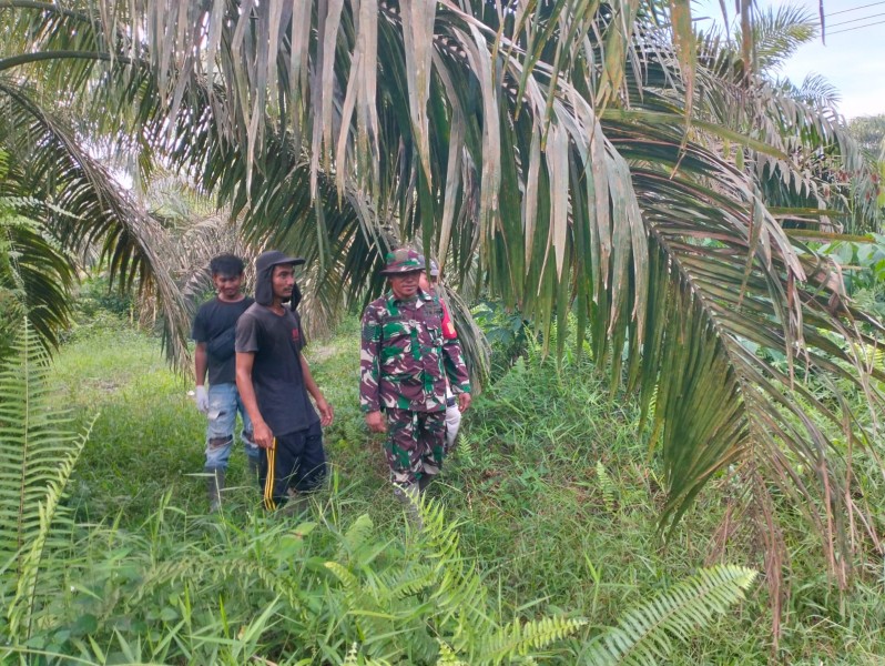 Serma Risman Girsang Patroli Karhutla di Sungai Selodang, Tidak Ditemukan Titik Api