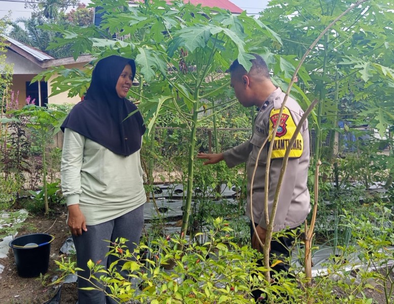Polsek Pasir Penyu Dampingi KWT Bingke Kamboja, Kebun Pekarangan Produktif Jadi Penguat Ketahanan Pangan
