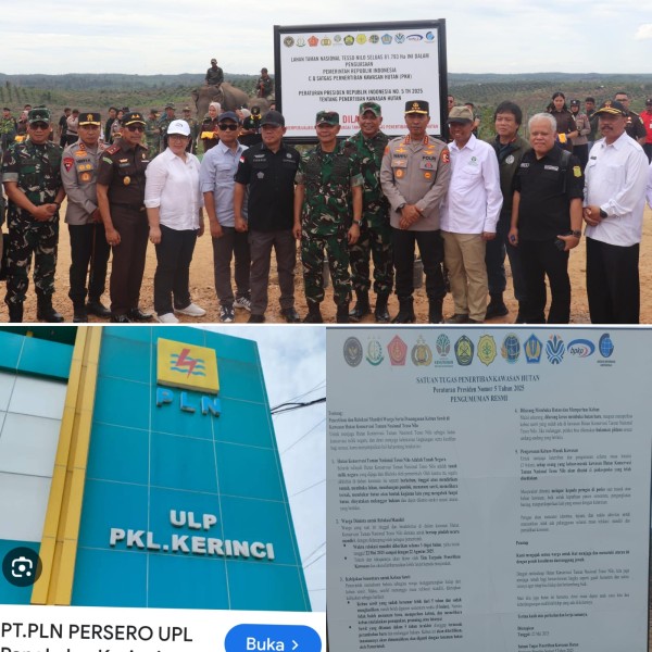 PLN Siap Tertibkan Listrik Ilegal di Tesso Nilo, Warga Dihimbau Relokasi Mandiri Demi Kelestarian Hutan Negara