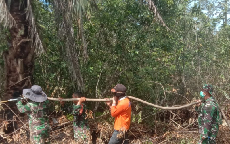 TNI dan BPBD Padamkan Karhutla di Mundam, 1,4 Hektare Lahan Berhasil Diselamatkan