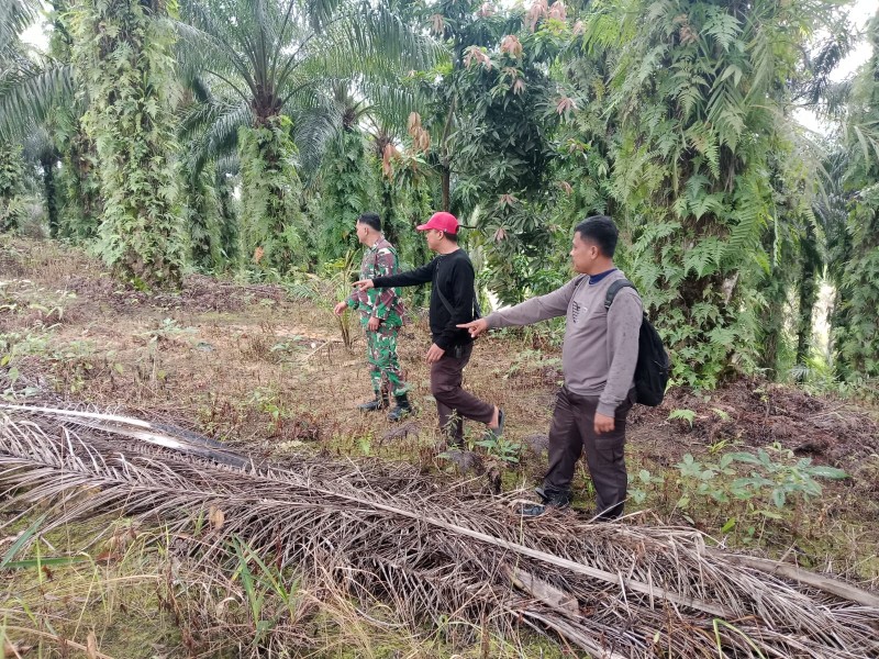 Sinergi TNI & Masyarakat Terus Ditingkatkan dalam Pencegahan Karhutla di Kampung Muara Kelantan