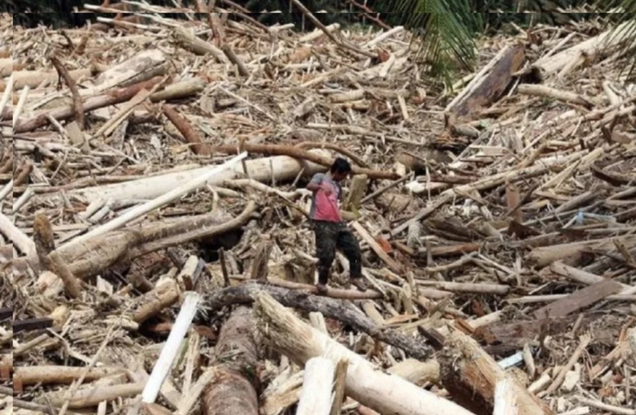 Bareskrim Telusuri Asal Kayu Gelondongan Penyebab Banjir Bandang Sumatera