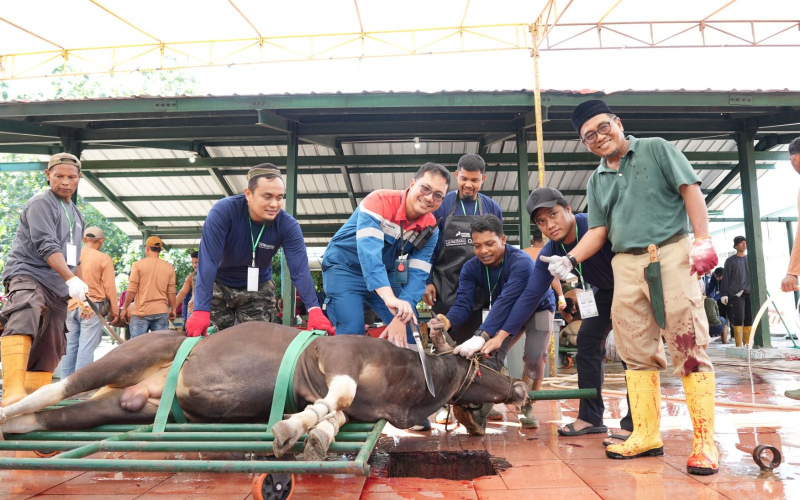 Tebar Manfaat Iduladha, Kilang Pertamina Dumai Distribusikan 100 Hewan Kurban untuk Masyarakat Ring 1
