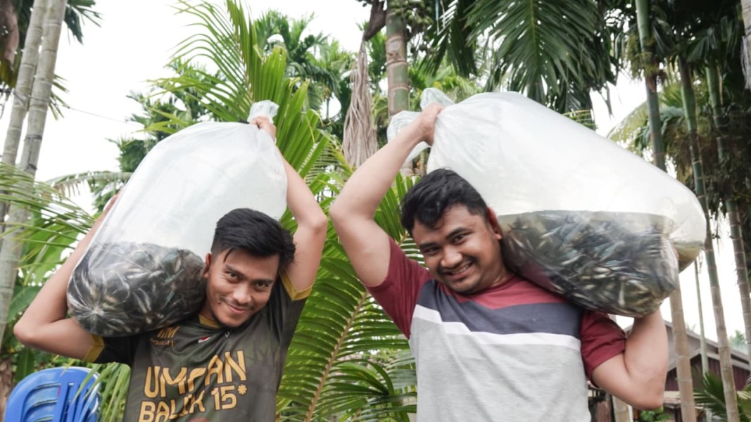Kisah Feri Hamdan Bangkitkan Semangat Kelompok Tunas Mandiri dalam Budidaya Ikan Patin