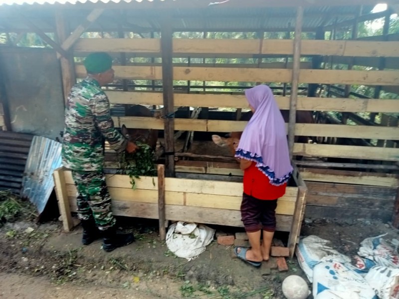 Babinsa Serda Mayus Maruli Laksanakan Pemantauan dan Sosialisasi Pencegahan PMK di Kampung Minas Timur