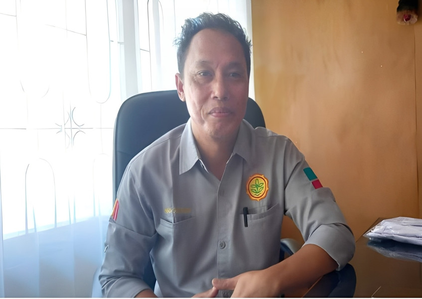 Akan Dibantu Rp 60 Juta/Hektar, Berikut Manfaat dan Mekanisme Program Peremajaan Sawit Rakyat di Bengkulu Selatan