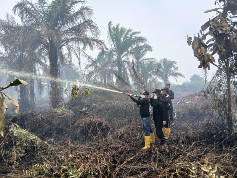 Riau Berstatus Tanggap Darurat Karhutla!