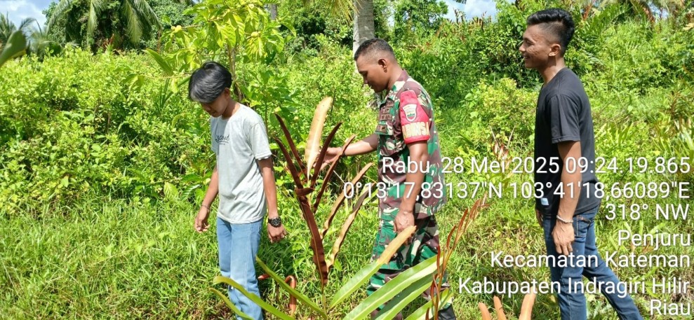 Cegah Karhutla, Babinsa Koramil 06/Kateman Rutin Patroli dan Sosialisasi