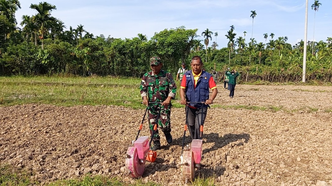Gandeng PPL, Satgas TMMD Ke-129 Kodim 0102/Pidie Edukasi Warga Tanam Jagung di Lahan Ketahanan Pangan