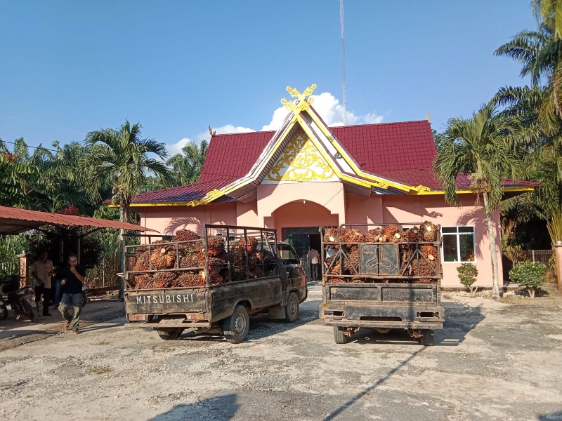 Warga Desa Darul Aman Hentikan Dua Unit Mobil L300 Pengangkut Kelapa Sawit Milik Koperasi Bathin Betuah karena Pelanggaran Prosedur