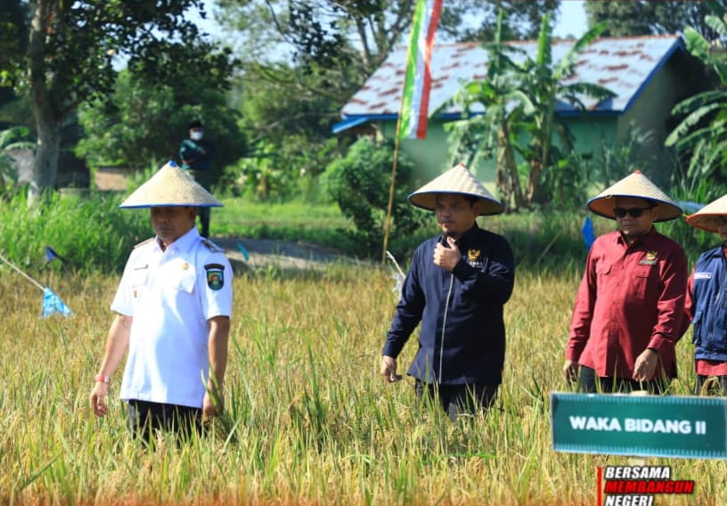 Panen Raya Program di Bangun Purba Timur Jaya, Wabup Rohul: Bukti Nyata Kolaborasi Menuju Kemandirian Desa