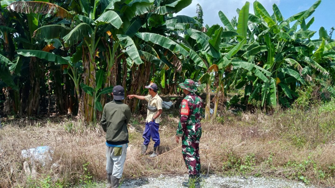 Patroli Tapal Batas di Desa Air Tawar, Babinsa Koramil 06/Kateman Himbau Warga Tidak Bakar Lahan