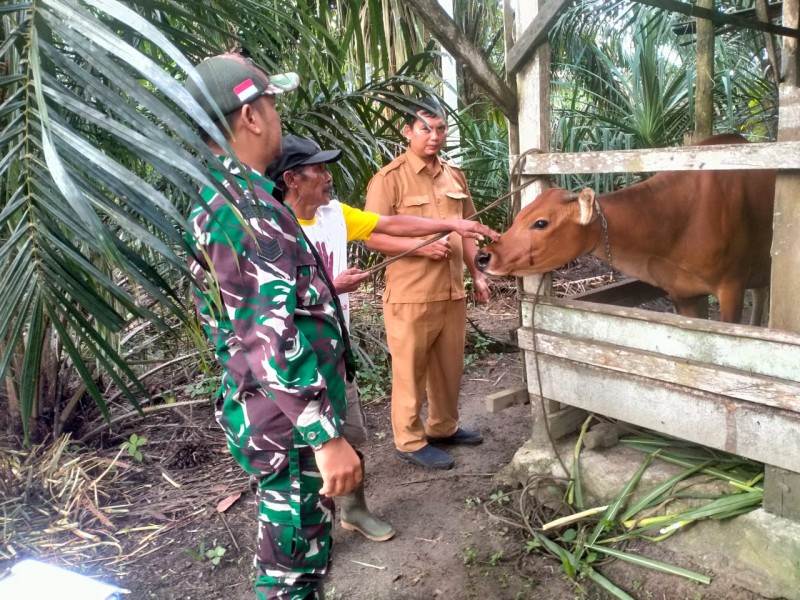 Babinsa Koramil 04/Perawang Bersama Tim URC Laksanakan Surveilance PMK di Koto Gasib