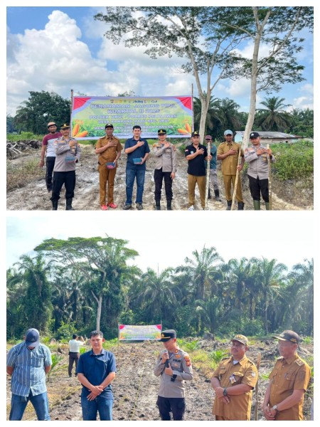 Polsek Ukui Tanam Jagung Bersama Petani, Perkuat Ketahanan Pangan dan Ekonomi Warga Desa Kampung Baru