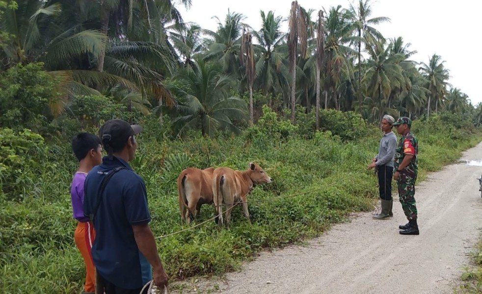 Babinsa Koramil 06/Kateman Laksanakan Komsos Bersama Petani dan Peternak di Desa Air Tawar