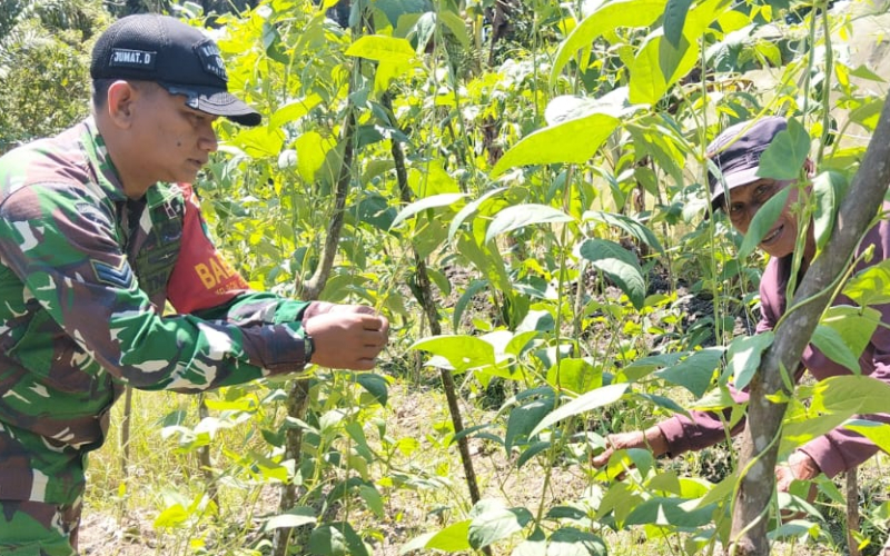TNI dan Rakyat Bersinergi, Babinsa Bagan Besar Timur Dorong Warga Kelola Lahan Produktif