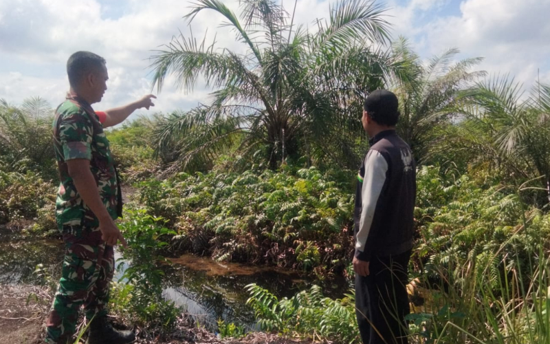 Patroli Karhutla oleh Babinsa Bagan Keladi di Titik Rawan