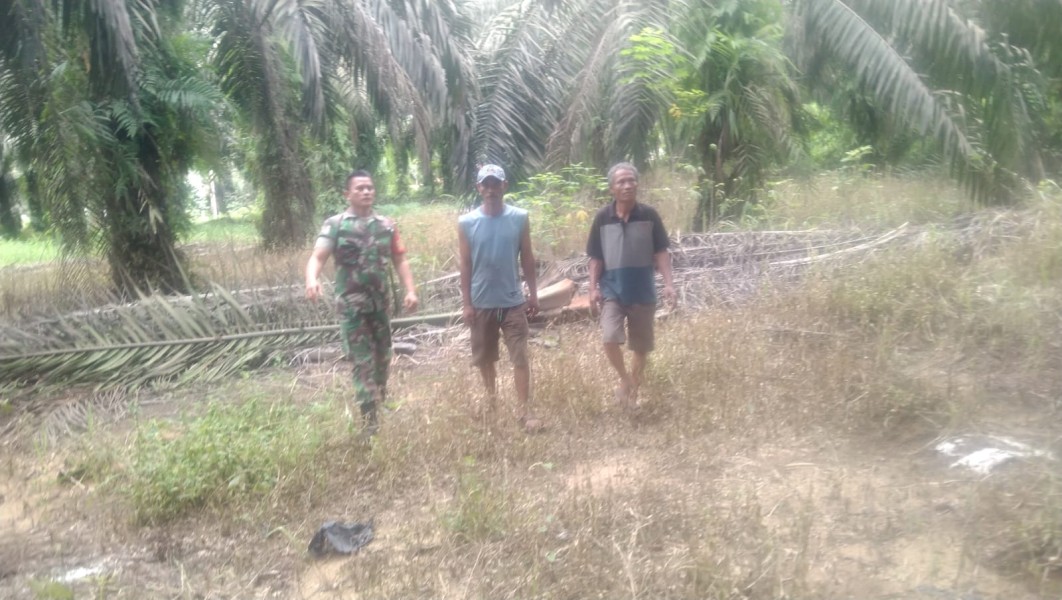 Babinsa Koptu Togi Sitorus Laksanakan Patroli Karhutla di Perawang Barat
