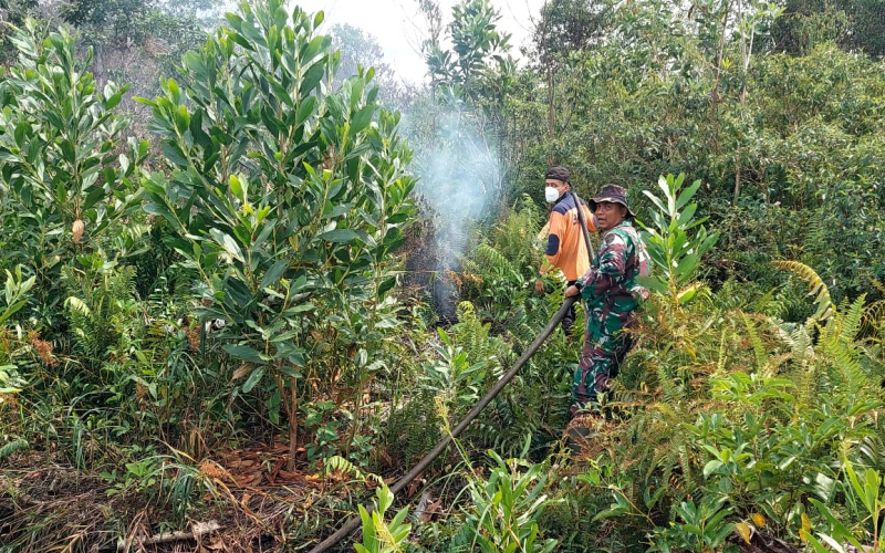 Kodim 0320 Dumai Pastikan Lokasi Aman, Titik Api Turun Drastis