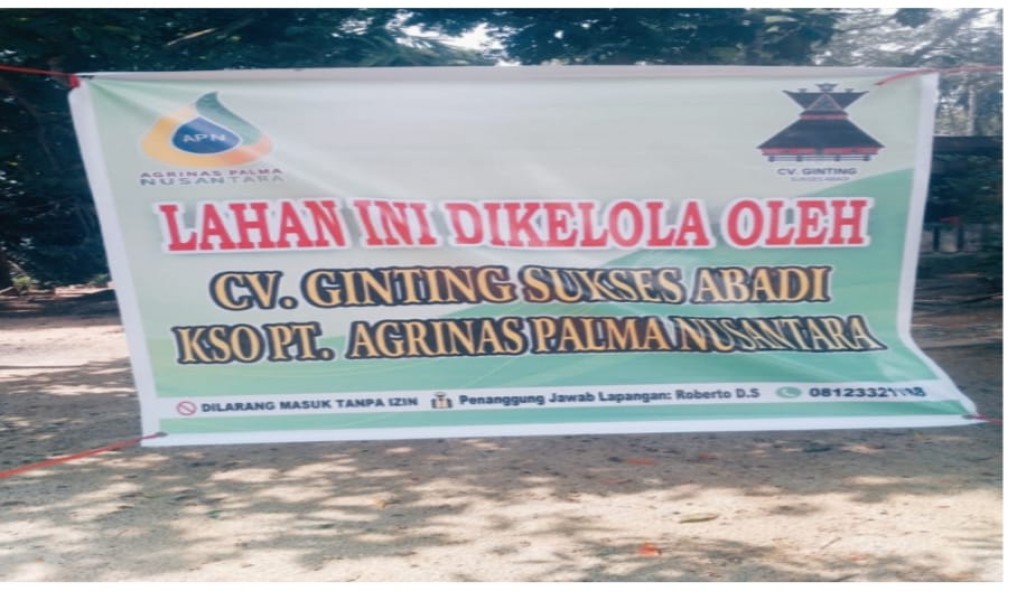 Sekelompok Orang KSO PT Agrinas Palma Nusantara Panen Sawit Warga Desa Kota Lama Rohul