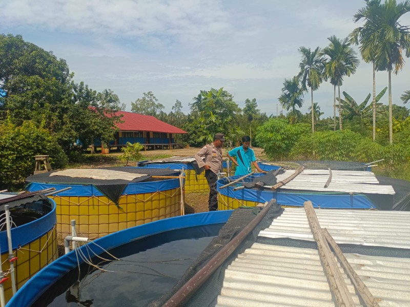 Bhabinkamtibmas Beri Semangat Peternak Lele di Sungai Nyiur
