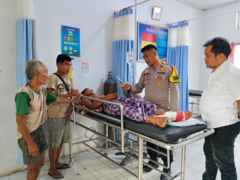 BBKSDA Duga Serangan Harimau di Inhu karena Induk Sedang Latih Anaknya Berburu