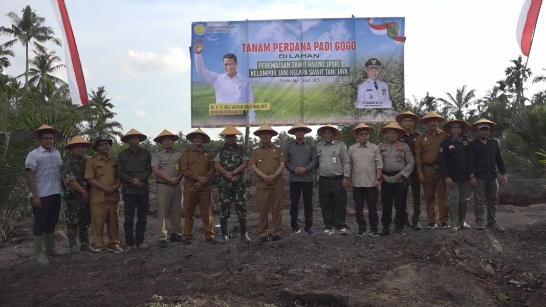 Dukungan Optimalisasi Lahan, Kasdim 0314/Inhil Hadiri Tanam Perdana Padi Gogo di Lahan Kelapa Sawit