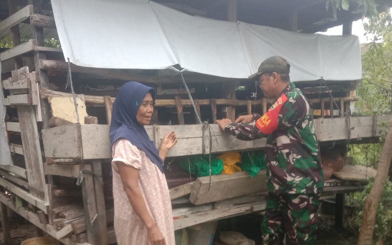 Begini Upaya Pencegahan Wabah PMK oleh Babinsa Koramil 01 Dumai