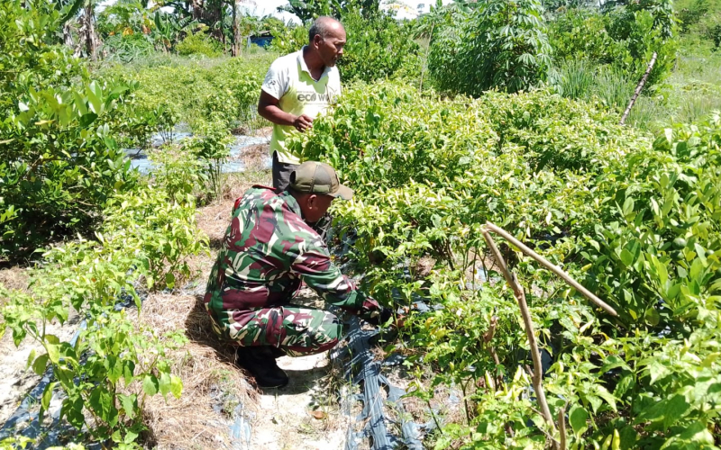 Patroli Rutin, Babinsa Rimba Sekampung Pastikan Lingkungan Bebas Karhutla