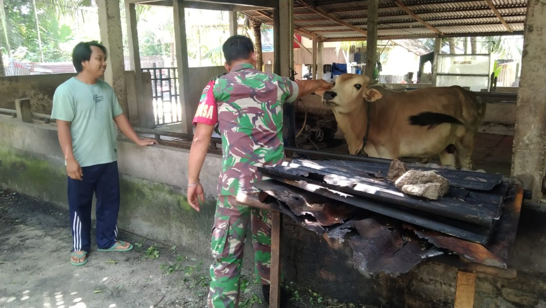 Koptu Togi Sitorus Lakukan Surveilans PMK Bersama Tim URC di Tualang Timur