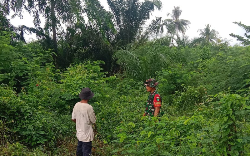 Babinsa Buluh Kasap Gencarkan Patroli Karhutla, Sosialisasi Banjir hingga Dampingi Warga Bertani