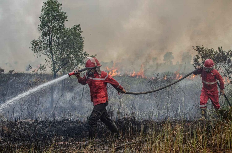 11 Titik Panas di Riau, Masyarakat Diminta Waspada Karhutla