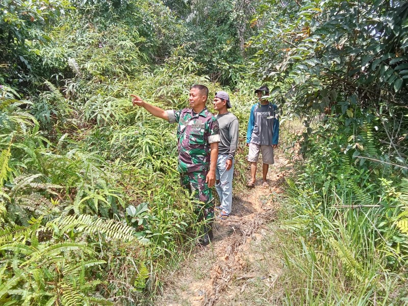 Babinsa Koramil 04/Perawang Intensifkan Patroli Karhutla, Pastikan Wilayah Aman Dan Bebas Api