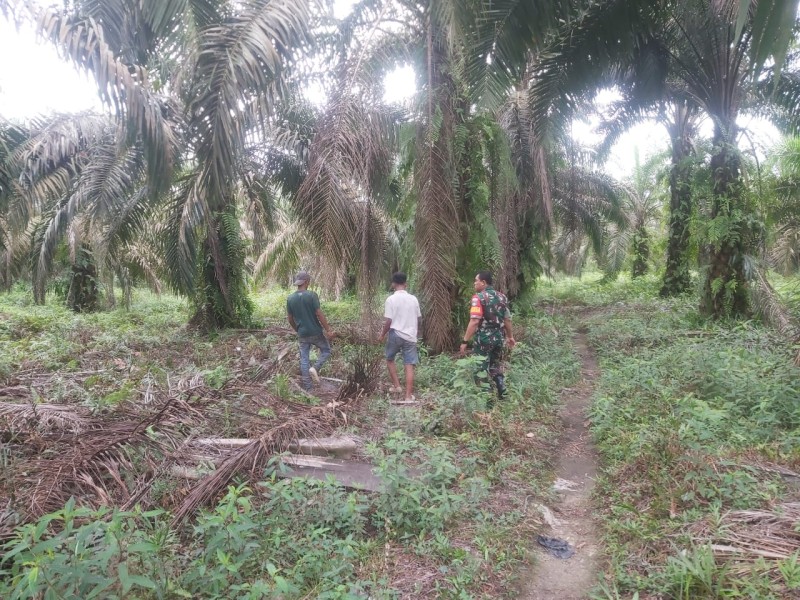 Babinsa Serda Deddy H Pastikan Wilayah Tualang Nihil Karhutla Usai Patroli Gabungan