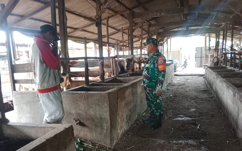 Babinsa Purnama Edukasi Kepada Peternak, Berikan Pemahaman Kesehatan
