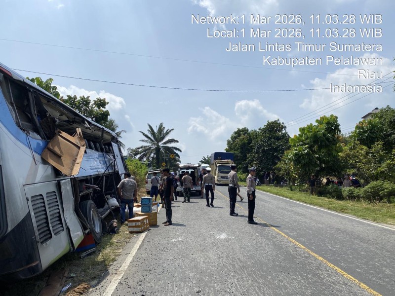Tabrakan Maut Bus PMH VS Truck Coltdiesel di Lintas Timur, 4 Tewas dan 2 Luka Berat