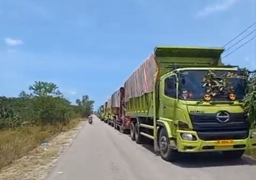 Dewan Jadwalkan Tinjau Antrean Truk Batubara di PLTU Tenayan