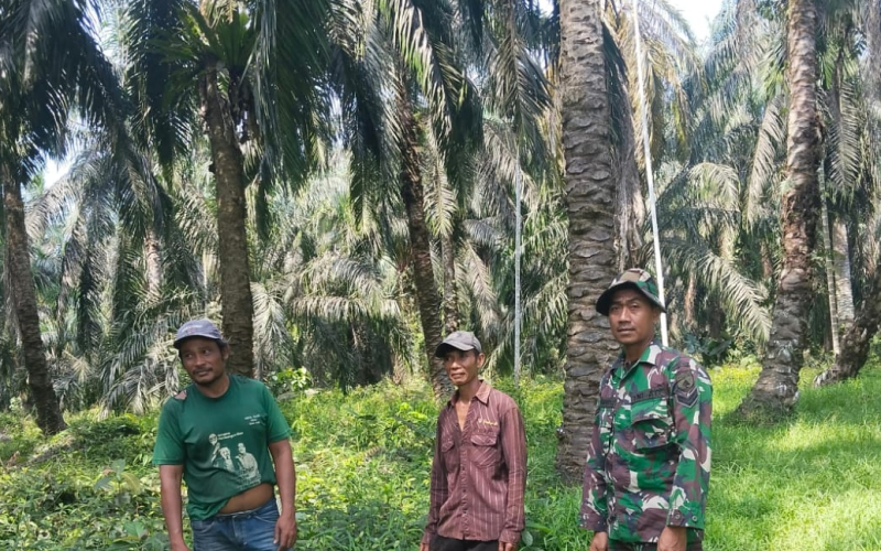 Cegah Karhutla, Babinsa Sungai Sembilan Patroli dan Edukasi Masyarakat