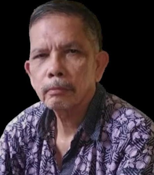 Panabalan Jalan Tuanku Tambusai di Lintas Rohul-Perbatasan Sumut