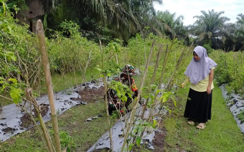Cegah Karhutla, Serda Iwan Sahputra Ajak Warga Bangsal Aceh Kelola Lahan Tanpa Bakar