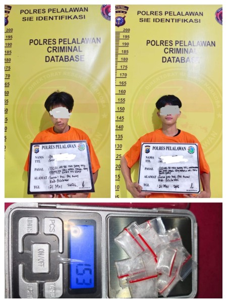 Satresnarkoba Polres Pelalawan Gerebek Pondok di Sorek Satu, Dua Terduga Pengedar Sabu Diamankan