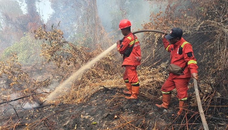Karhutla Jangan Berhenti di Perorangan, Korporasi Diminta Ikut Diusut