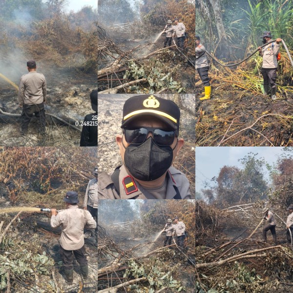 Hari ke-7 Pendinginan Karhutla Teluk Meranti: Api Terkendali, Kolaborasi Lintas Sektor Berhasil Redam Ancaman