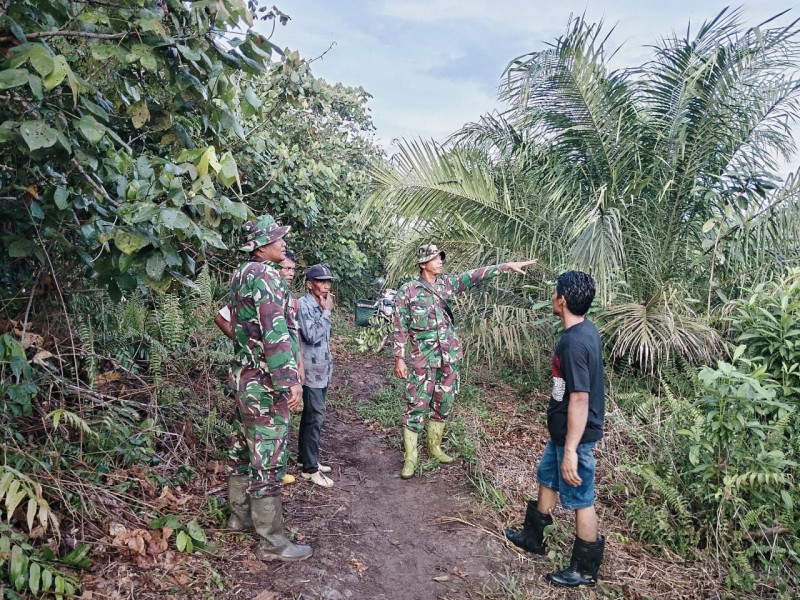 Babinsa Serda Mayus Maruli Laksanakan Patroli Karhutla di Dusun Lukut, Minas