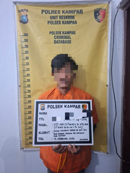 Polsek Kampar Tangkap Pelaku Curi Sawit di Desa Padang Mutung Sempat Ancam Korban Dengan Sajam