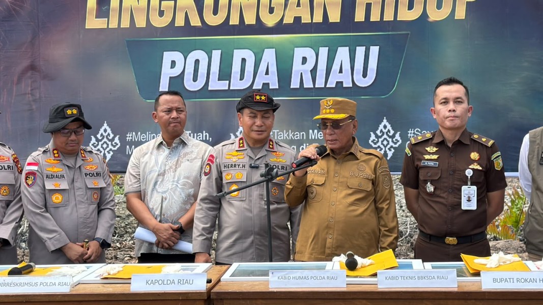 Bupati Rohil Dukung Polda Riau Bongkar Perusakan Mangrove: Jangan Tunggu Hutan Habis Baru Bertindak