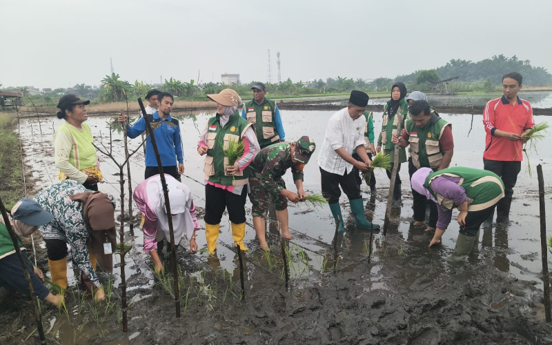 Dukung Ketahanan Pangan Nasional, Babinsa Teluk Binjai Turun Langsung Dampingi Petani