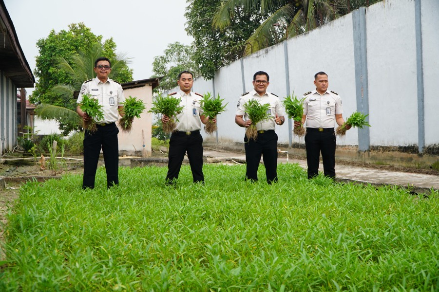 Perkuat Ketahanan Pangan, Rutan Dumai Kembali Panen Sayur Pakcoy dan Kangkung