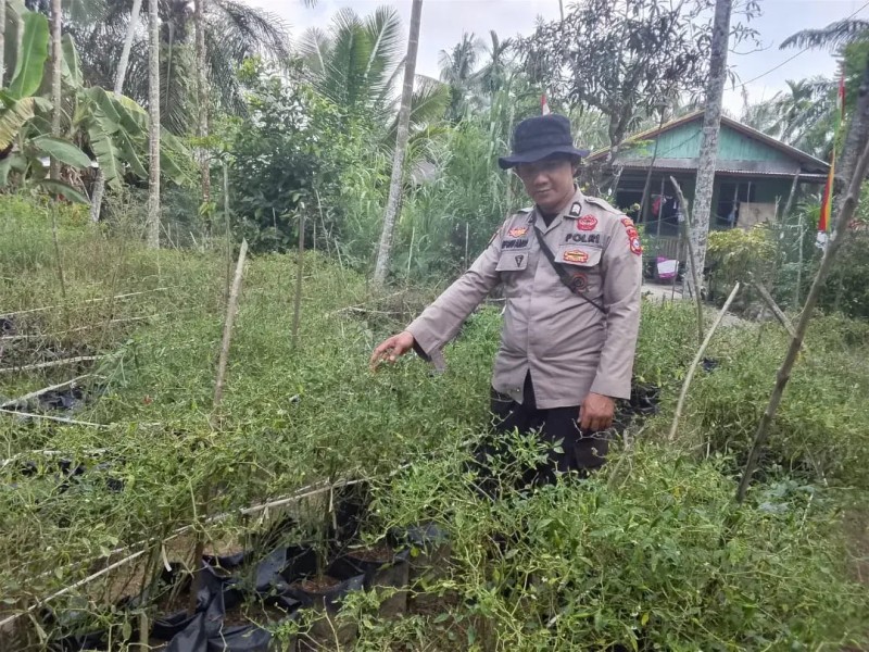Tak Hanya Jaga Pelabuhan, Polsek KSKP Tembilahan Turun ke Kebun Dorong Swasembada Pangan